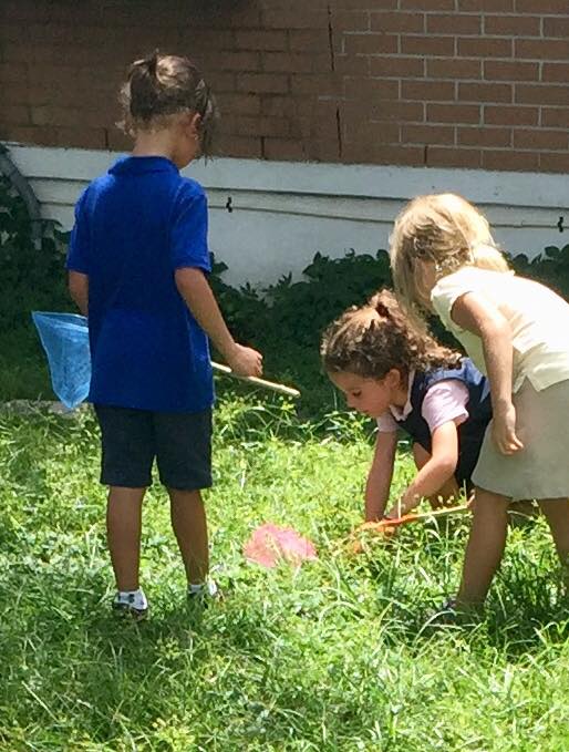 Three students in the school field with butterfly nets looking at bugs