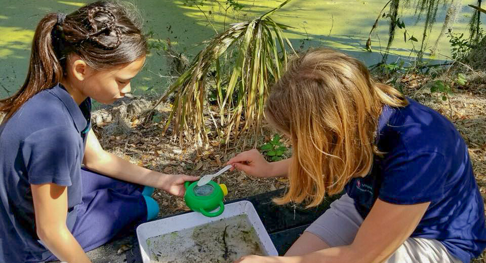 Two students collect and study water samples from a marsh