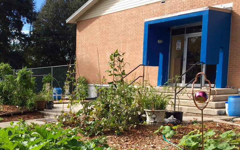 Back of school showing the student garden