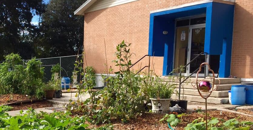 Back of school showing the student garden