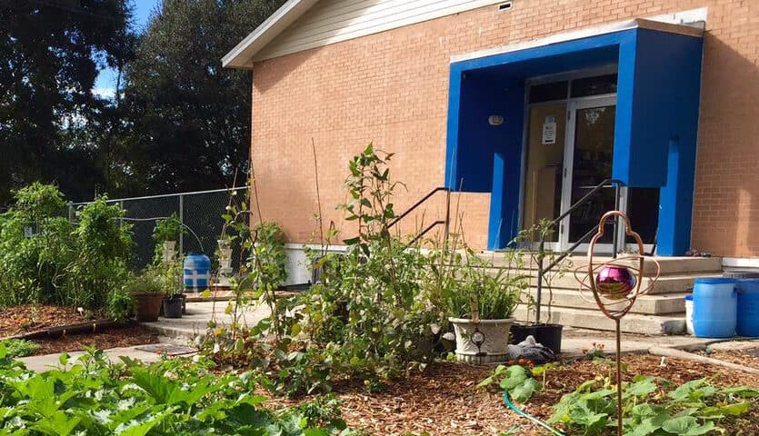 Back of school showing the student garden
