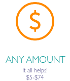 Circle filled with white and has an orange border and an orange dollar sign in the middle